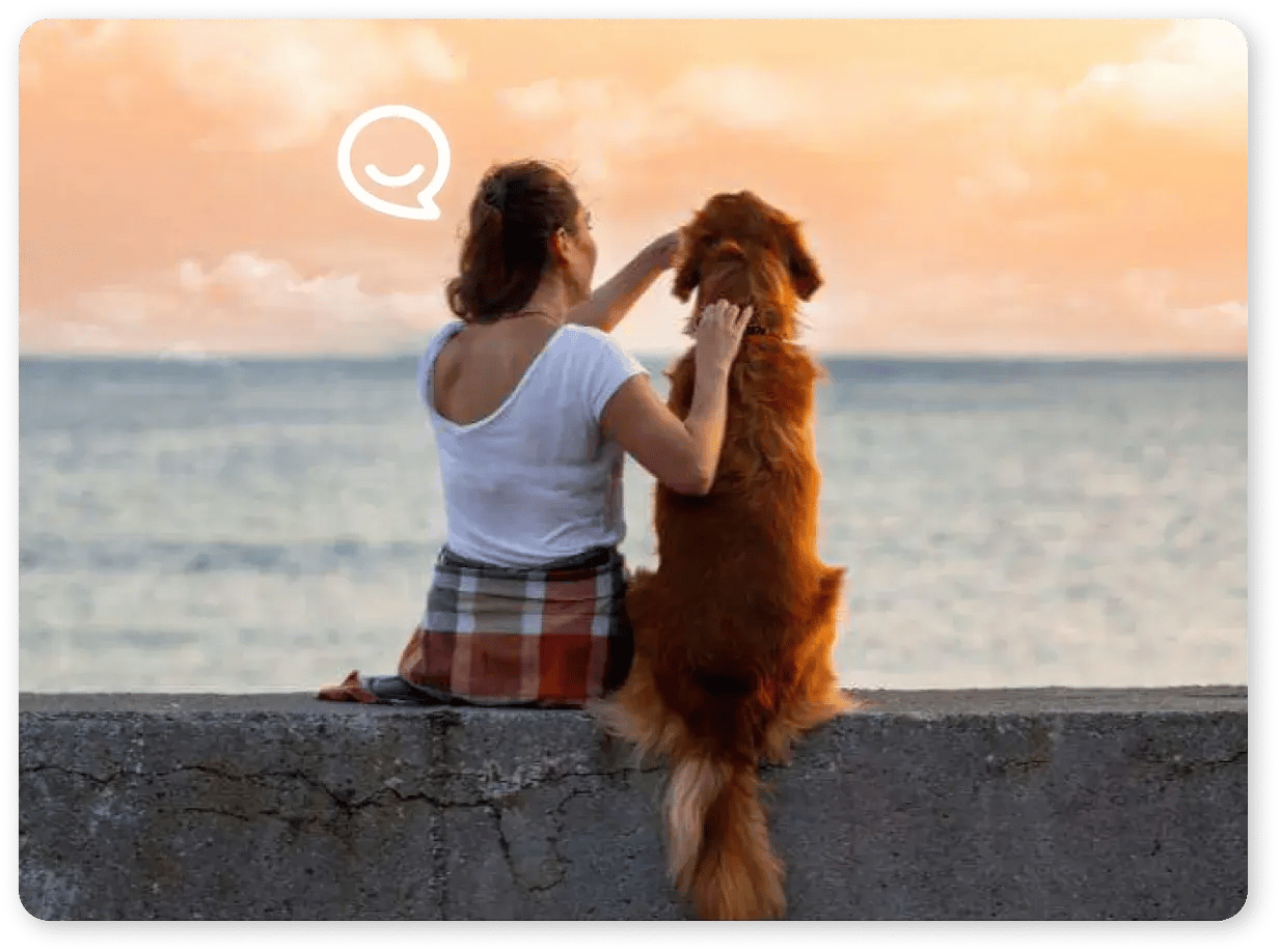 pet food - market research full service consulting firm