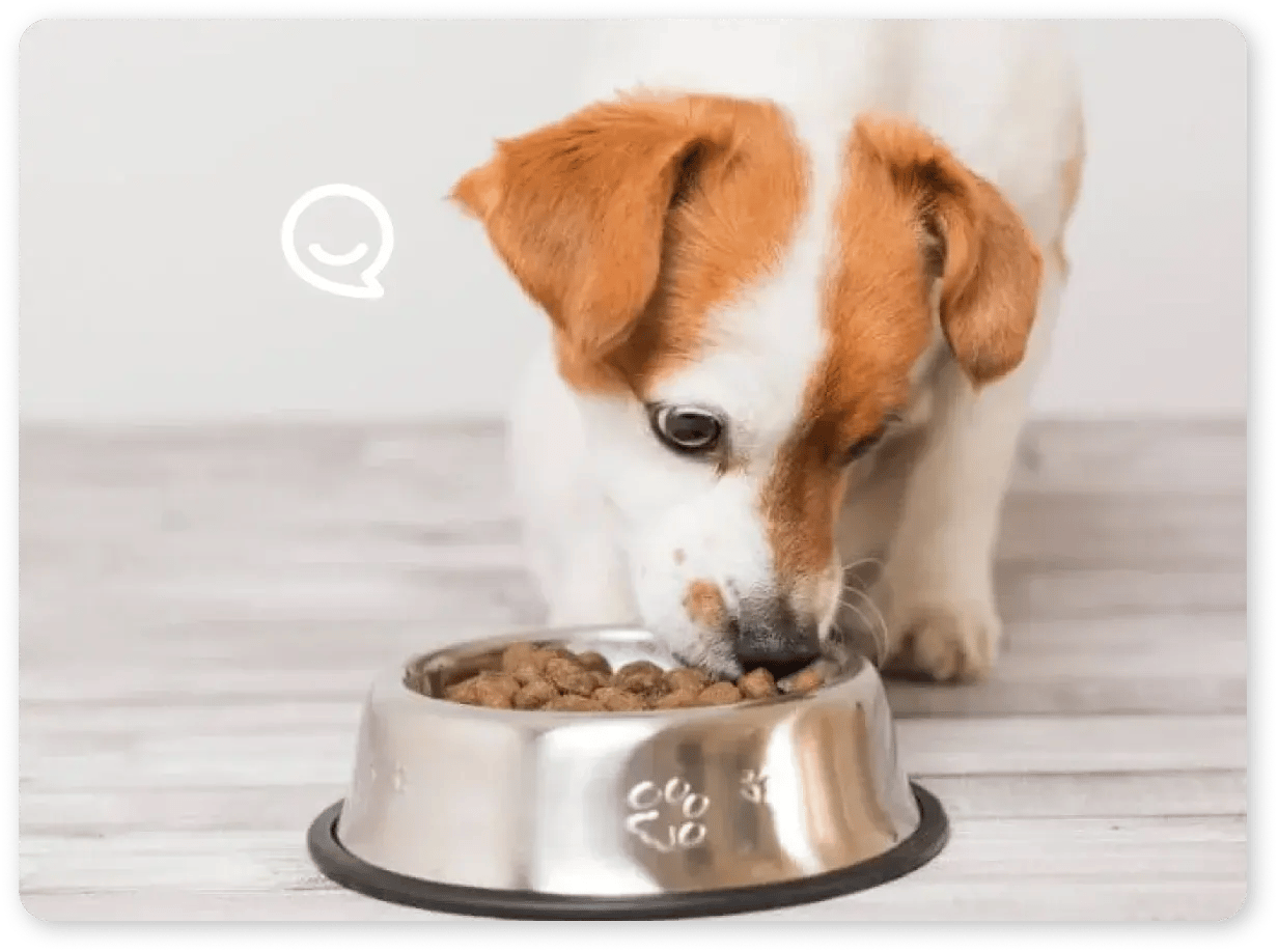 message testing for CPG 