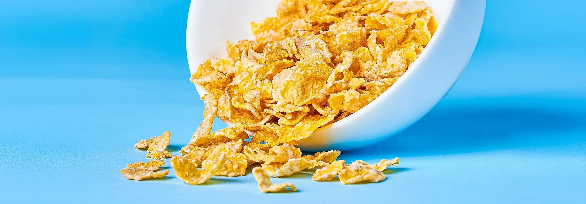 kelloggs-header-image-desktop-and-mobile (1)